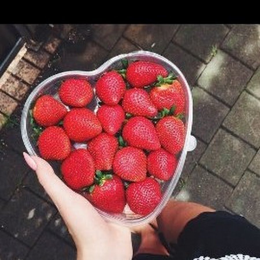 Клубника сохры