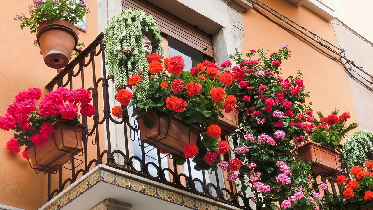 Цветущий балкон