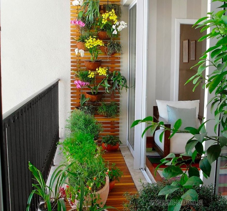 Оранжерея на лоджии