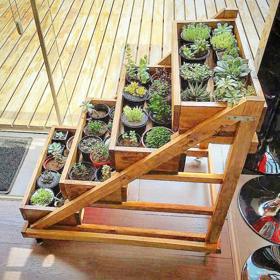 Зеленые растения в интерьере