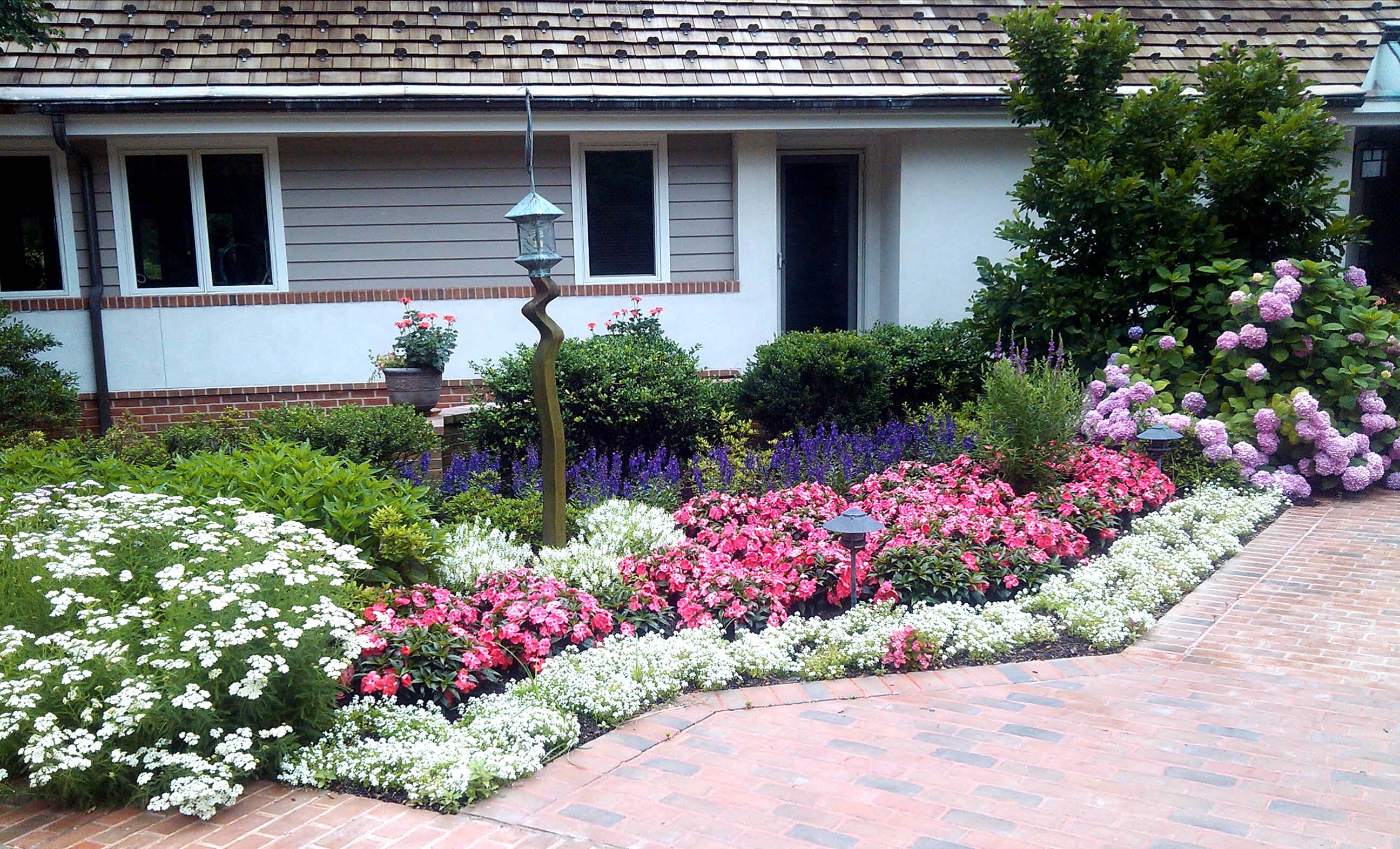 Фото цветов перед домом
