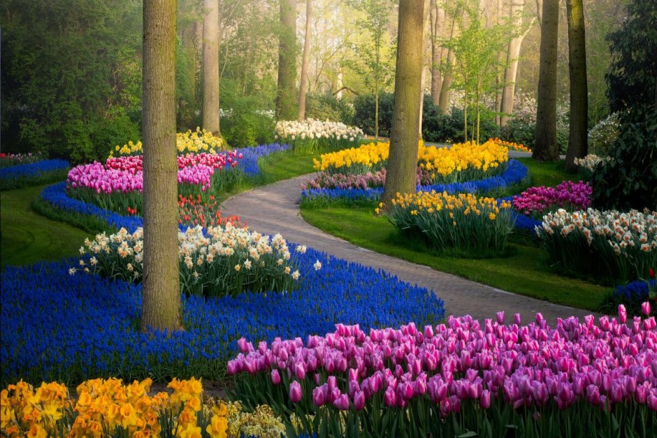 Королевский парк тюльпанов Кейкенхоф