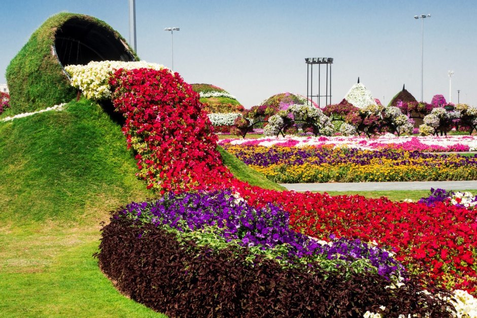 Миракл Гарден парк цветов Дубай