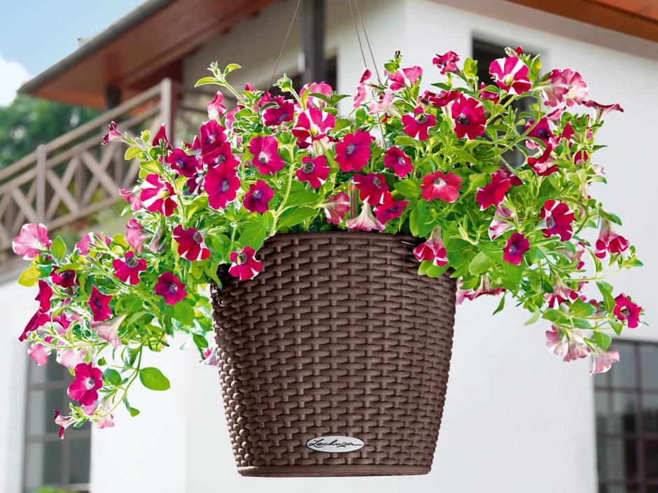 Итальянский балкончик с цветами