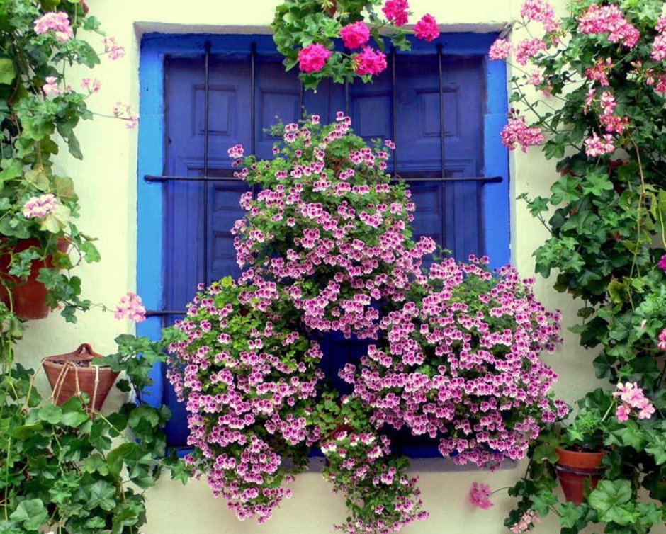 Красивый балкон в цветах