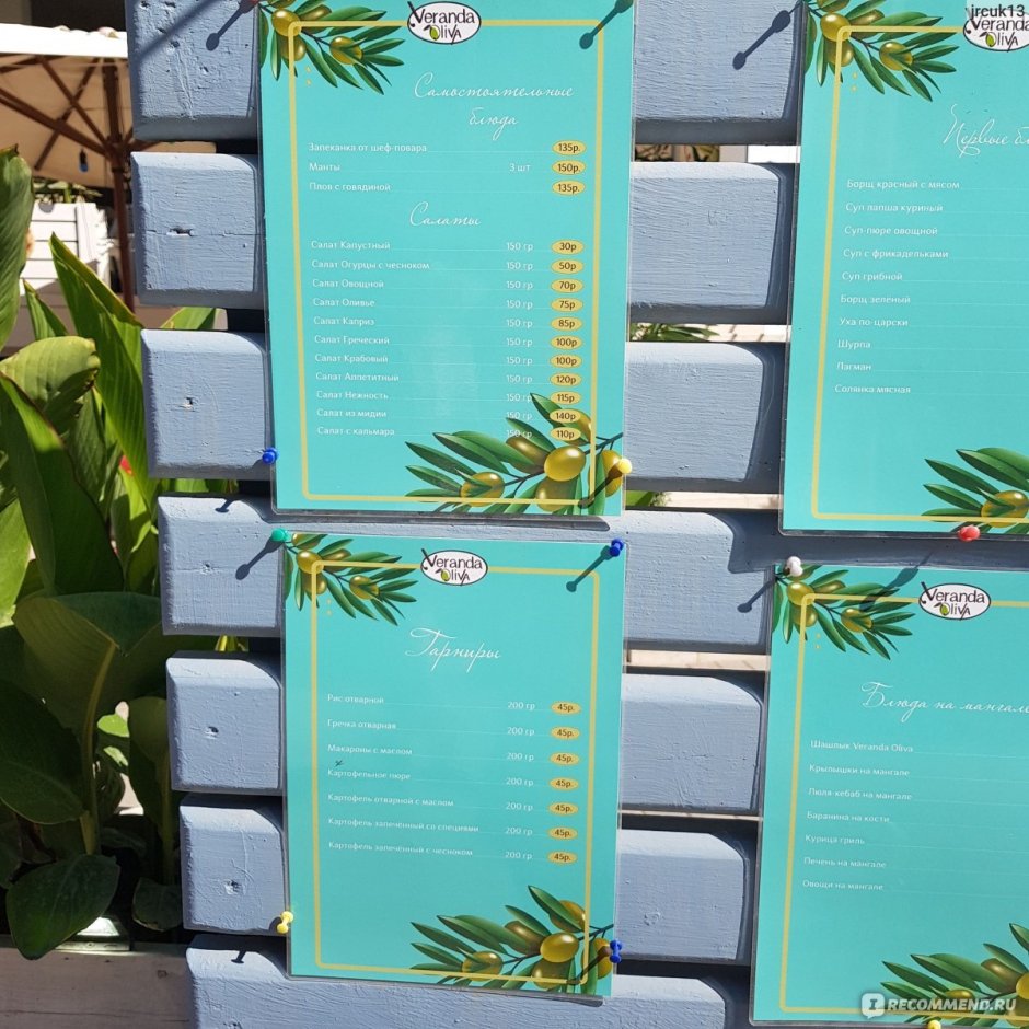 Олива Судак столовая