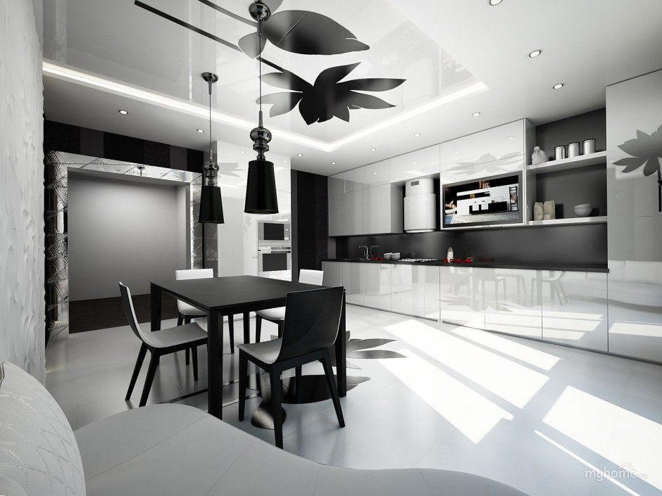 Кухня студия в черно белом стиле