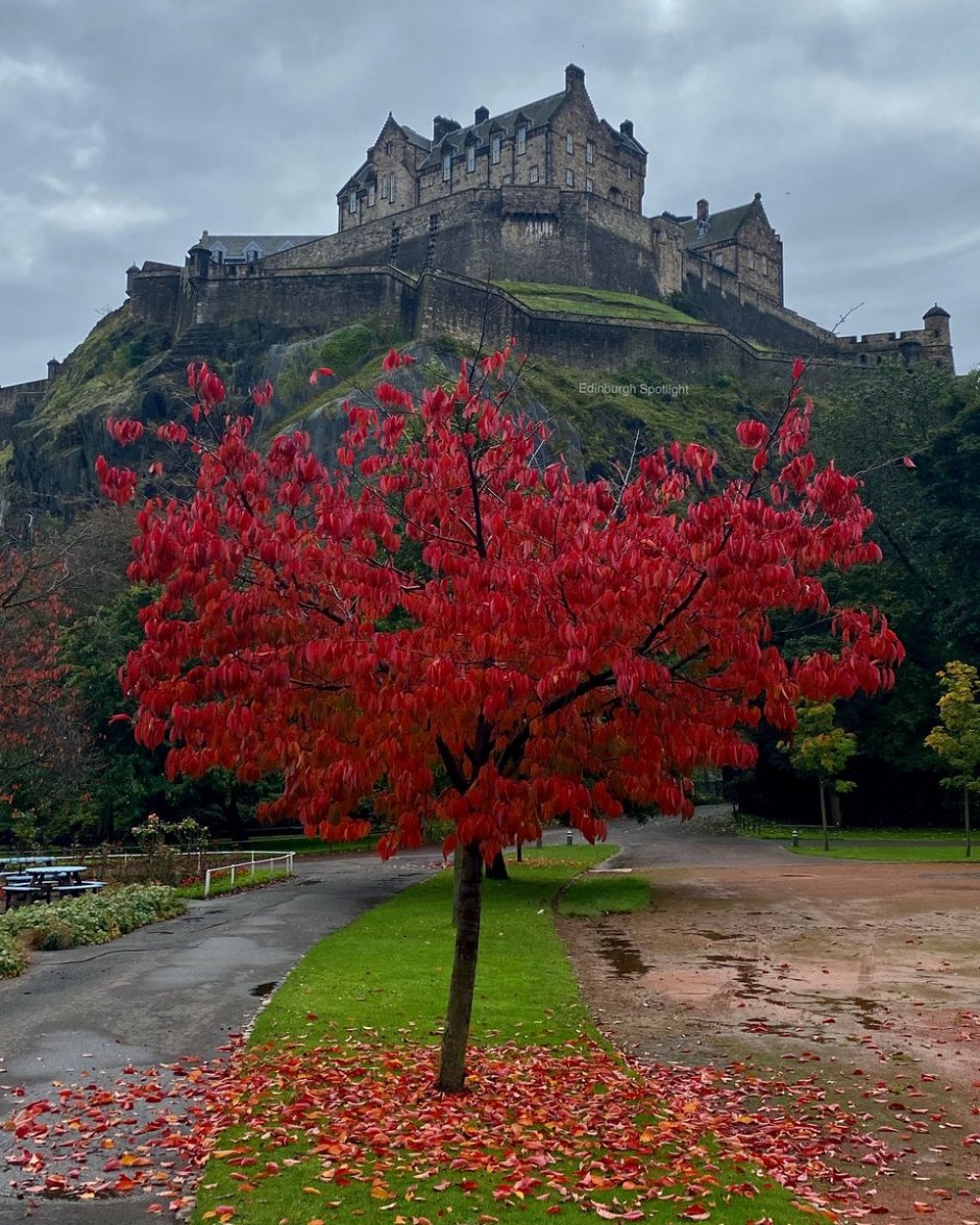 Крепость Эдинбург схема