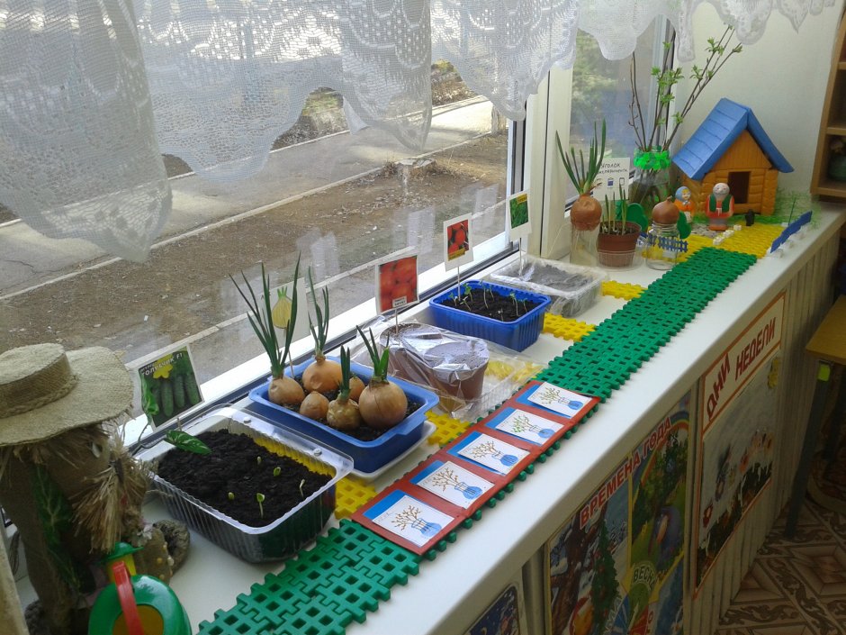 Детский огород в детском саду