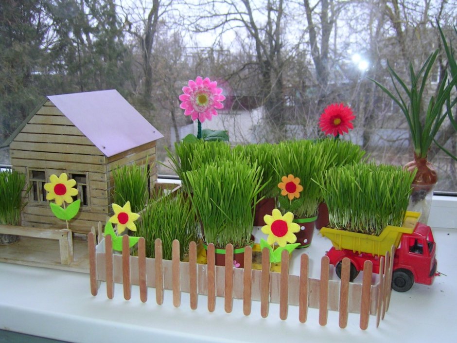 Огородик на окне в детском саду