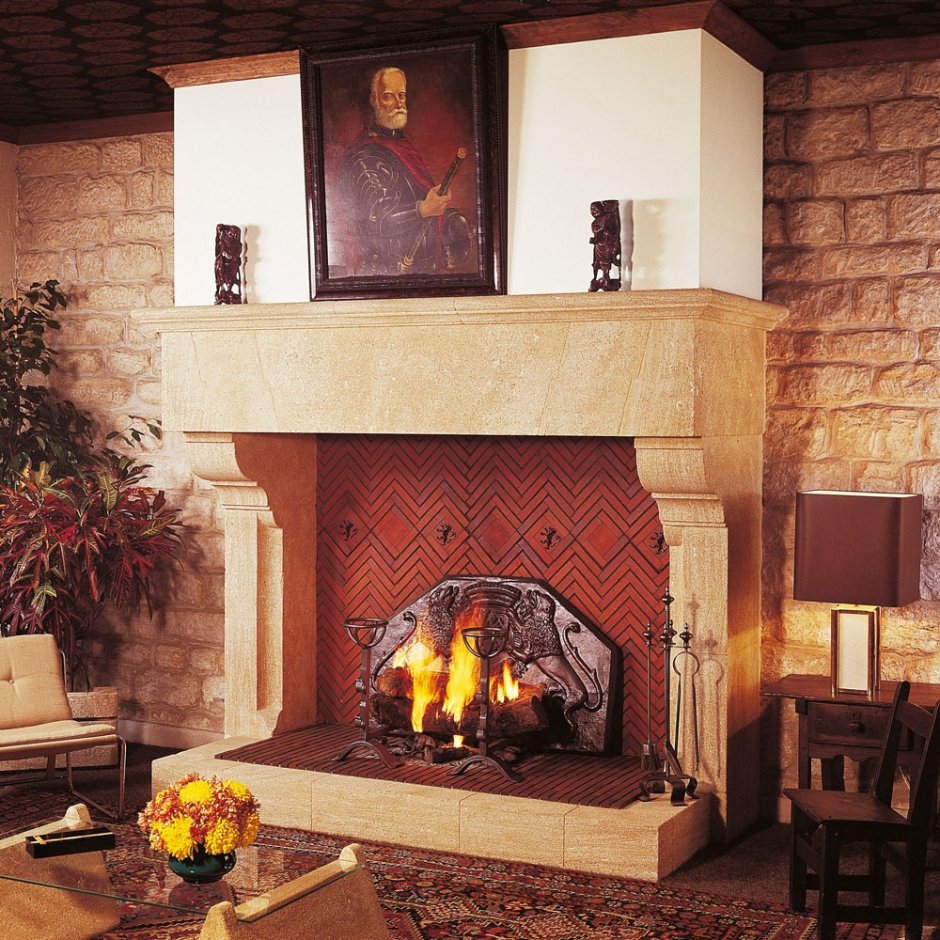 Дровяная печь-камин Fireplace hordo