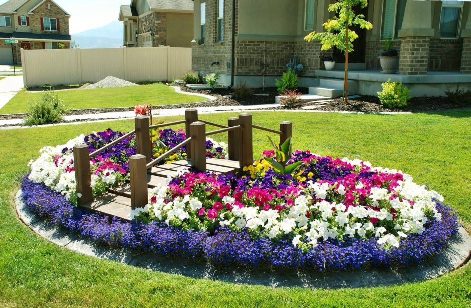 Молиния цветник Барбарис