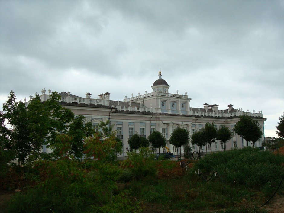 Манасир Зияд дворец