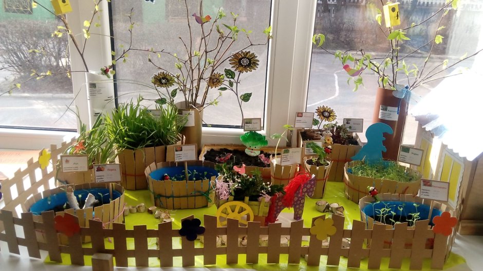 Огород на окне в детском саду