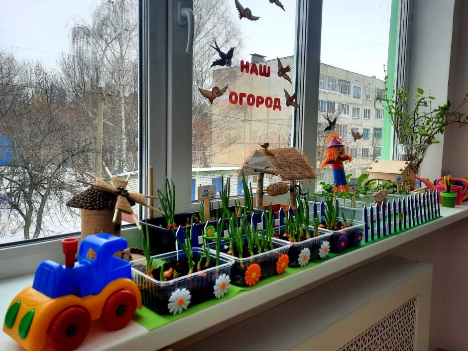 Огород на окне в детском саду. Оформление своими руками