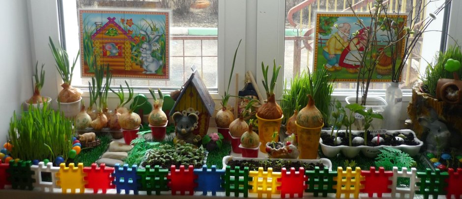 Зеленый сад на подоконнике в детском саду
