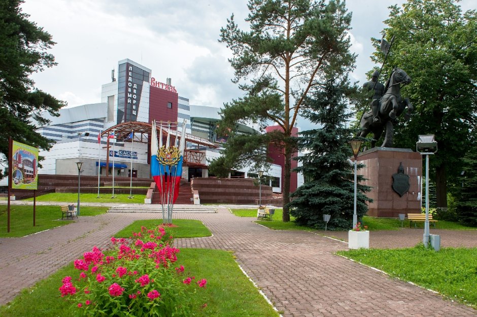 Арена Подольск Ледовый дворец