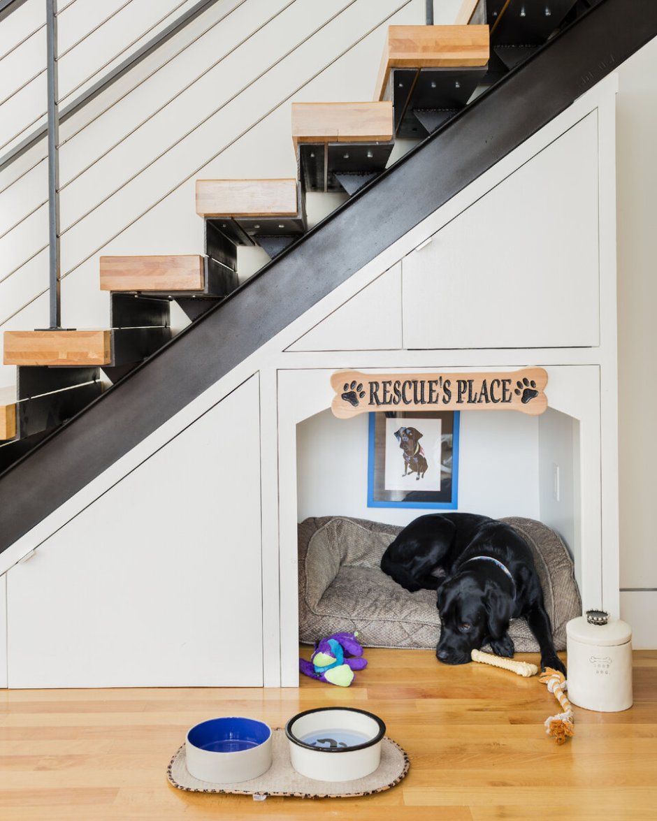 Собачий домик под лестницей
