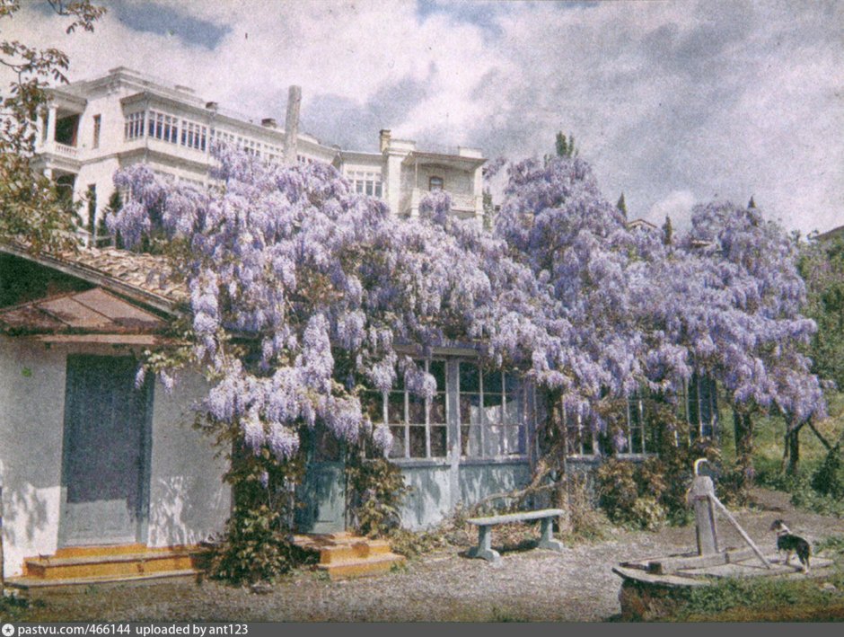 Харакс старые открытки