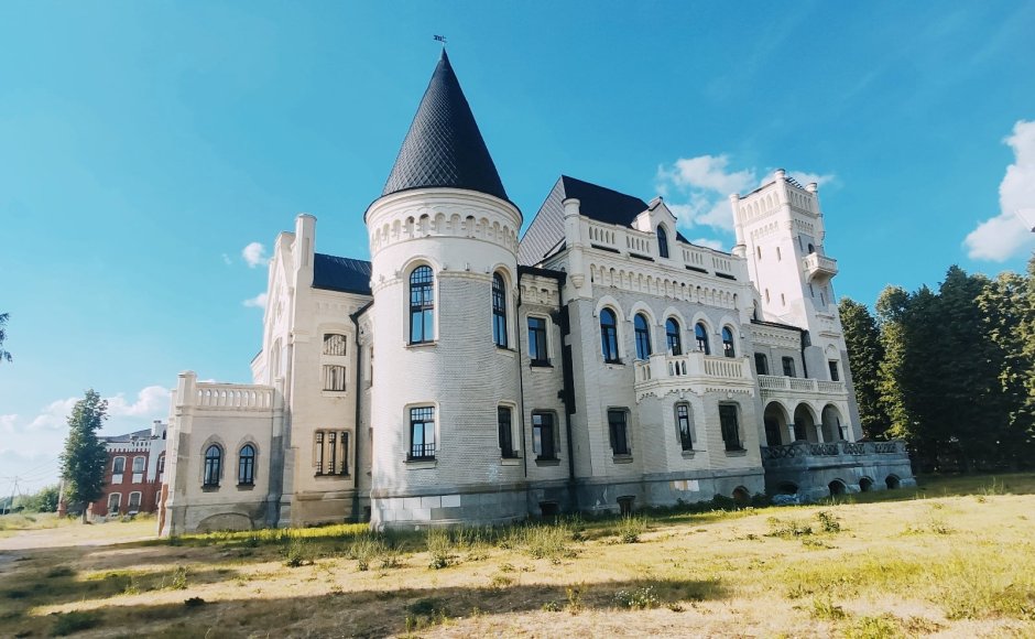 Замок Понизовкина проект
