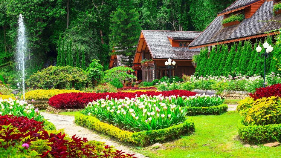Хелен парк+ ландшафт