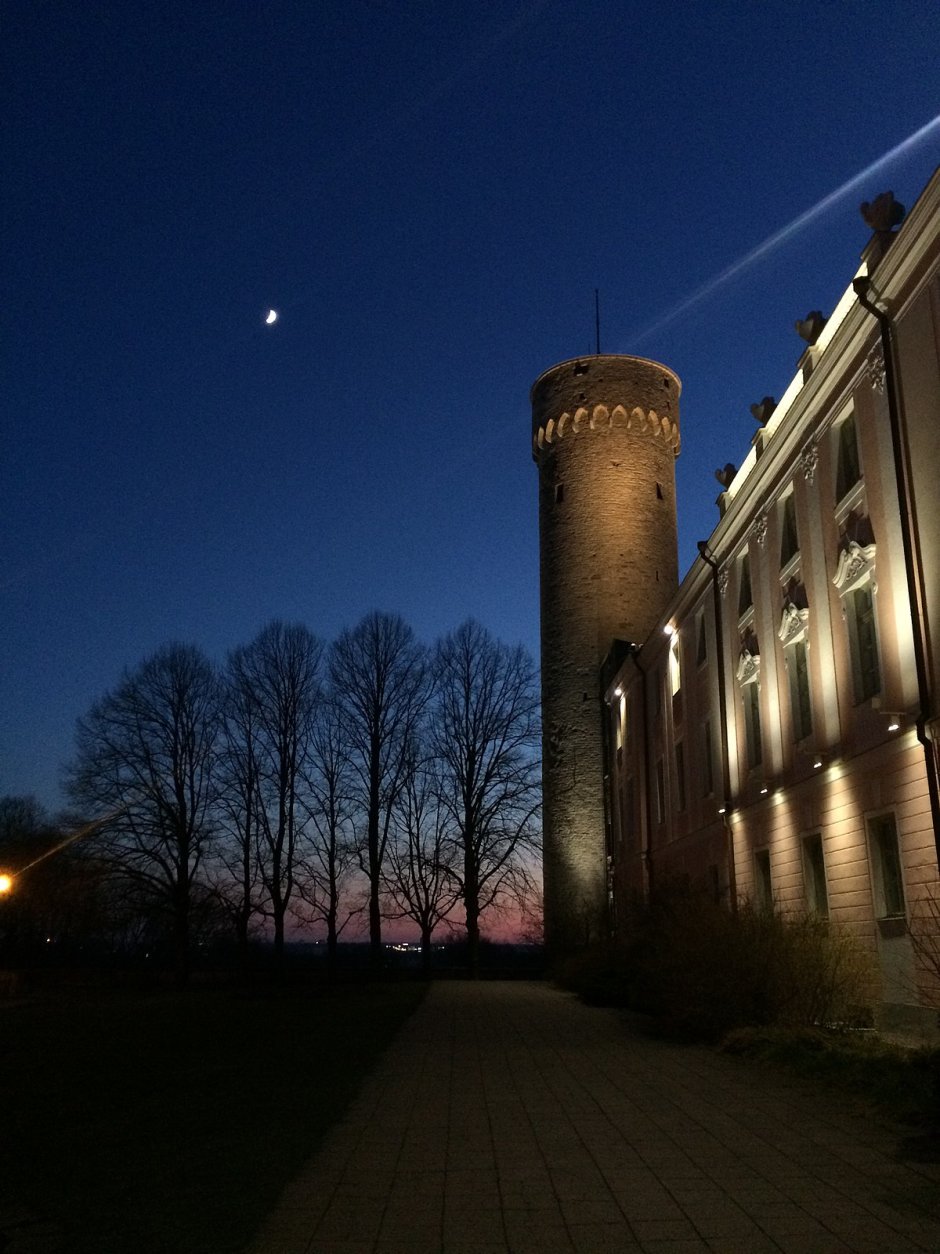 Девичья башня Таллин фото