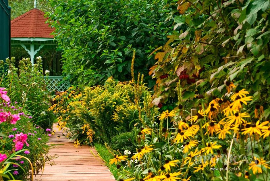 Лилейники в природном стиле сада