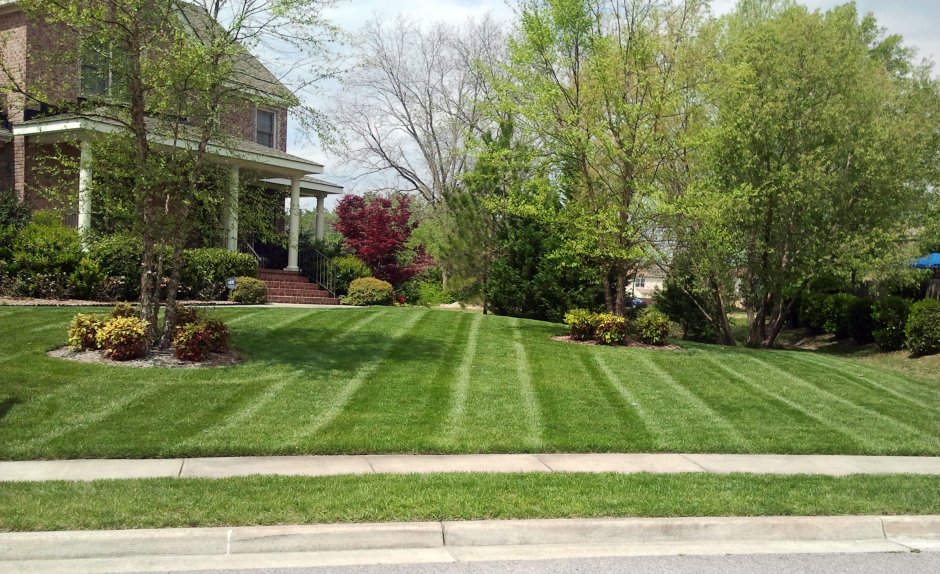 Скандинавский сад Front Yard