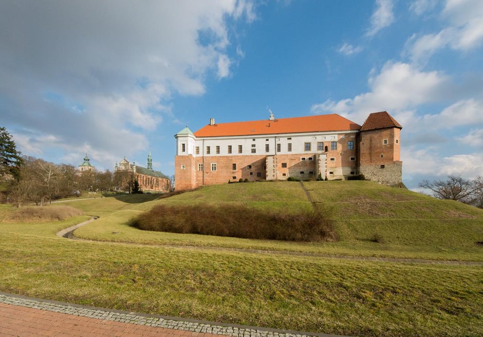 Замок Чеховице-Дзедзице
