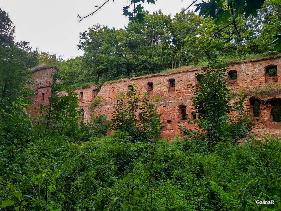 Руины замка Бальга