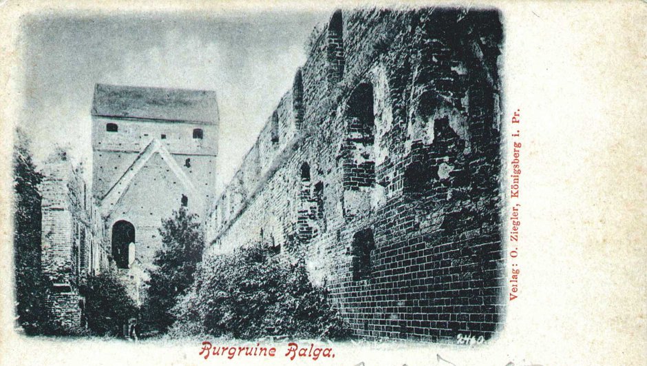 Сальское Калининградская область