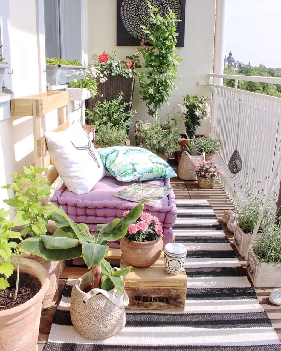 Огородный сад на балконе