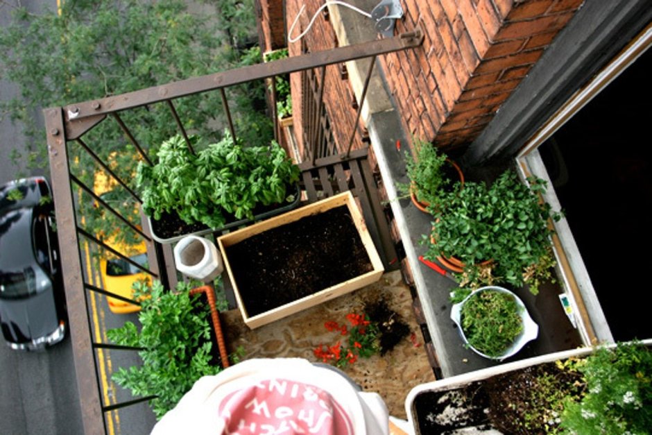 Огород на открытом балконе