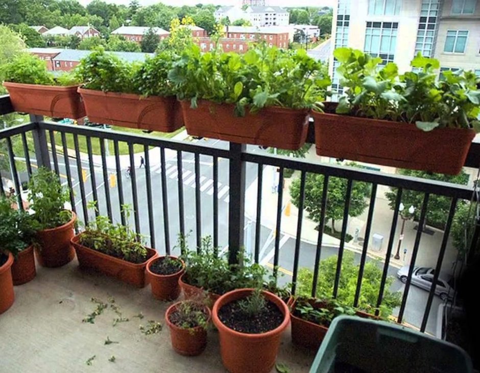 Стеллаж для огорода на балконе