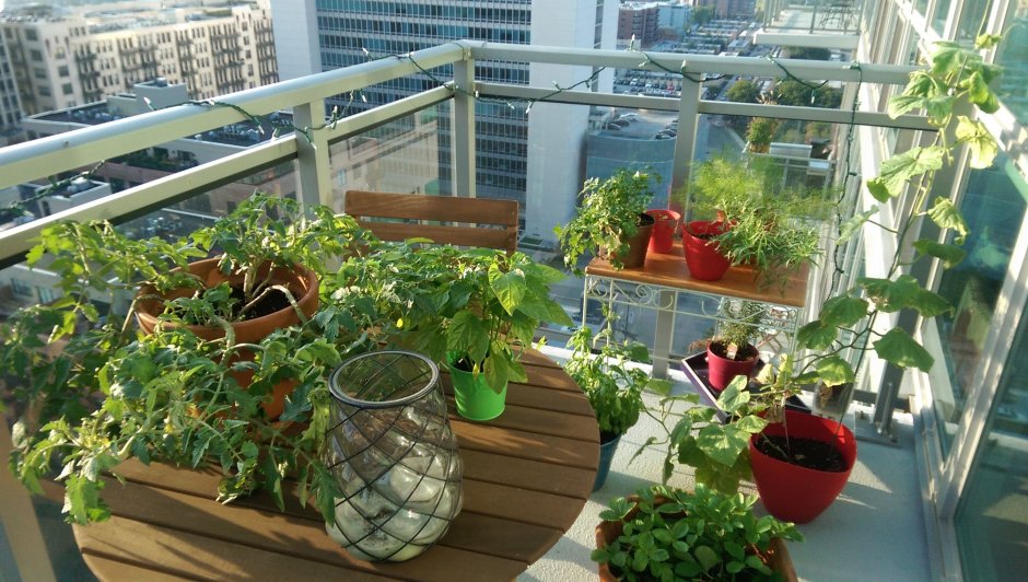 Огород балкон подставки и расположение