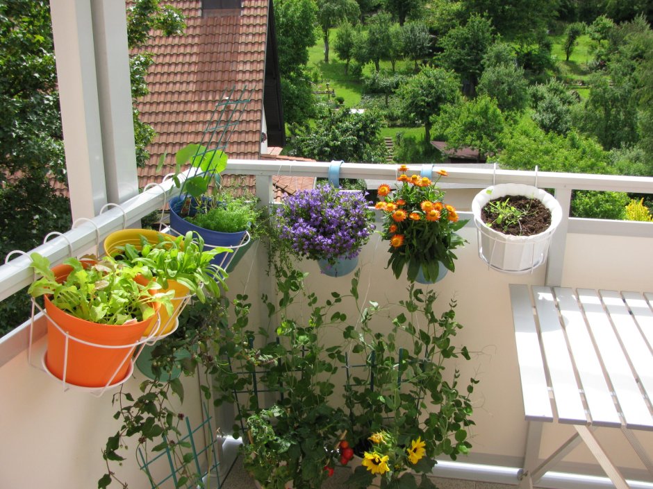 Садоводство на балконе