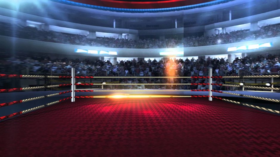 Боксерский ринг Лас Вегас