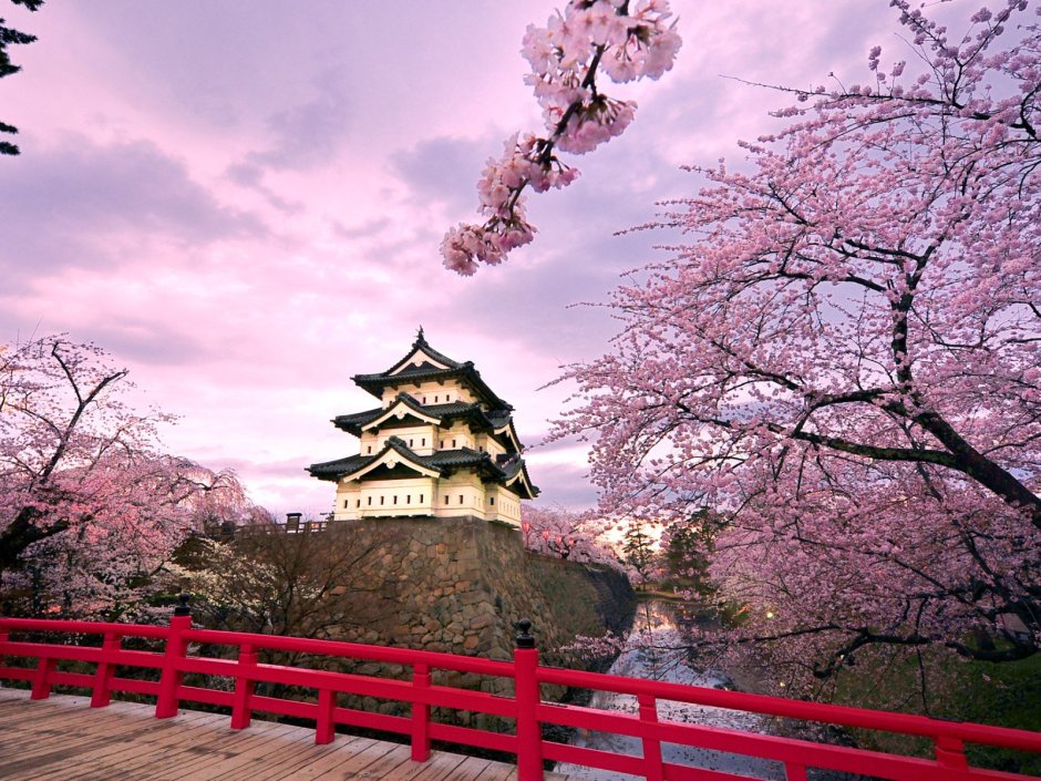 «Замок Хиросаки дзе»