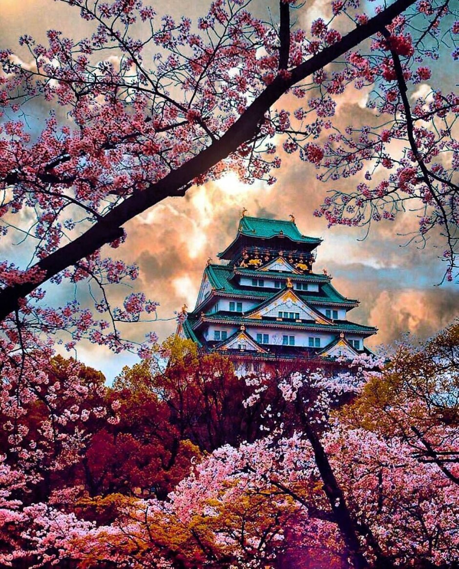 Замок Хиросаки, Япония.
