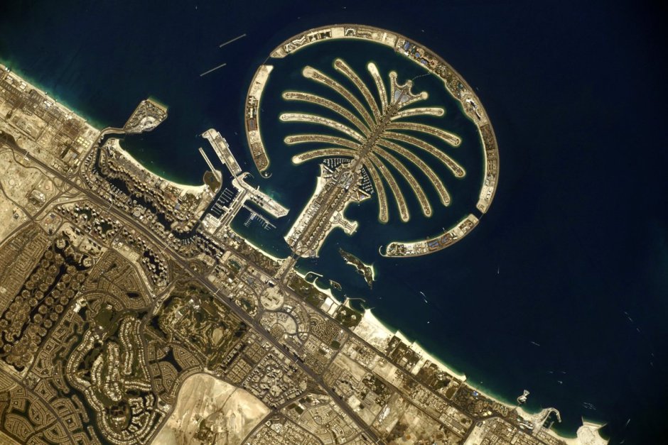 Отель 5 Palm Jumeirah Dubai лобби
