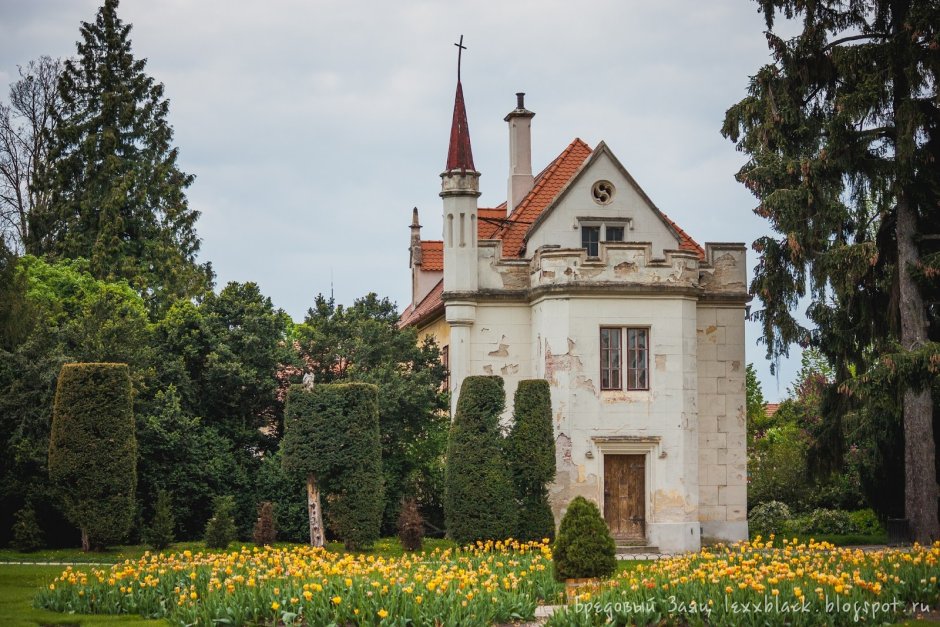 Интерьер Mosigkau Palace