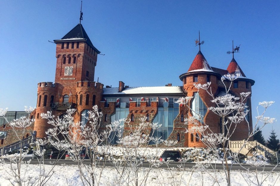 Калининград ресторан замок Нессельбек