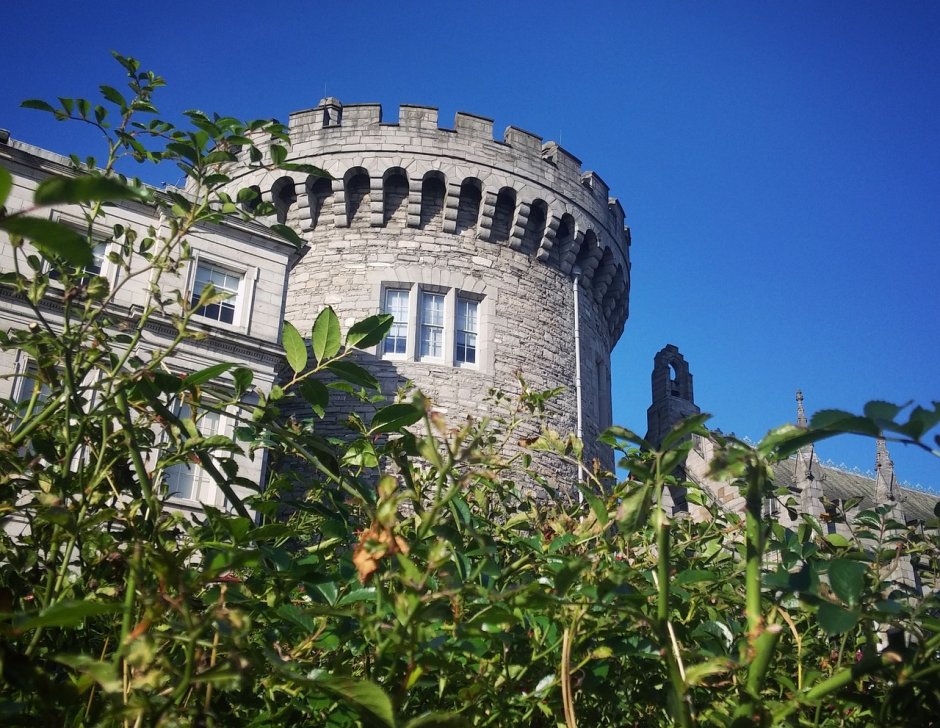 Тронный зал Дублинский замок