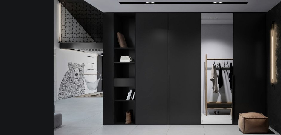 Встроенные шкафы черные