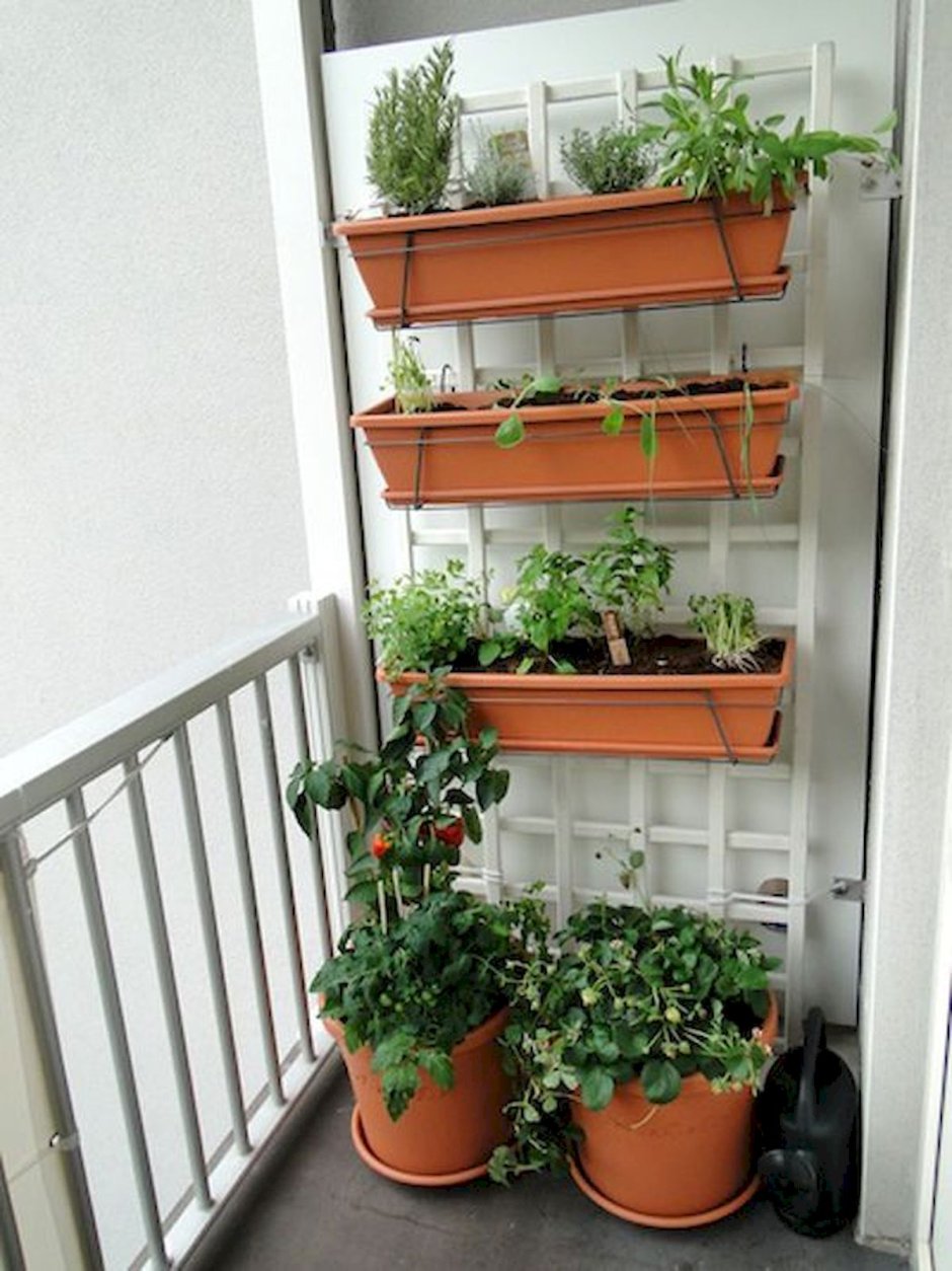 Огород на маленьком балконе