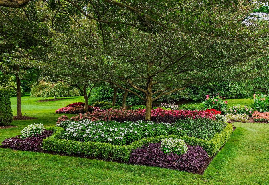 Канада сады Queen Elizabeth Garden Ванкувер