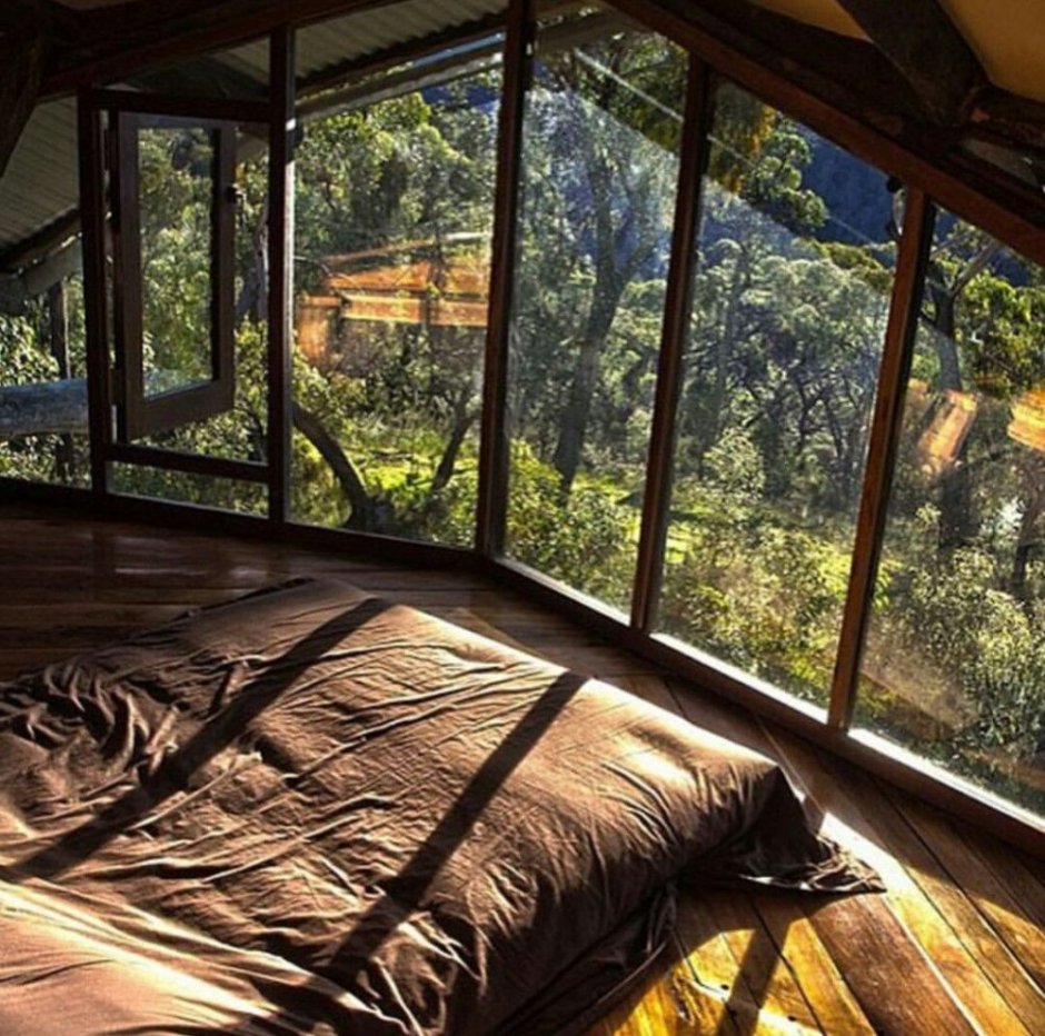 Панорамные окна с видом на лес