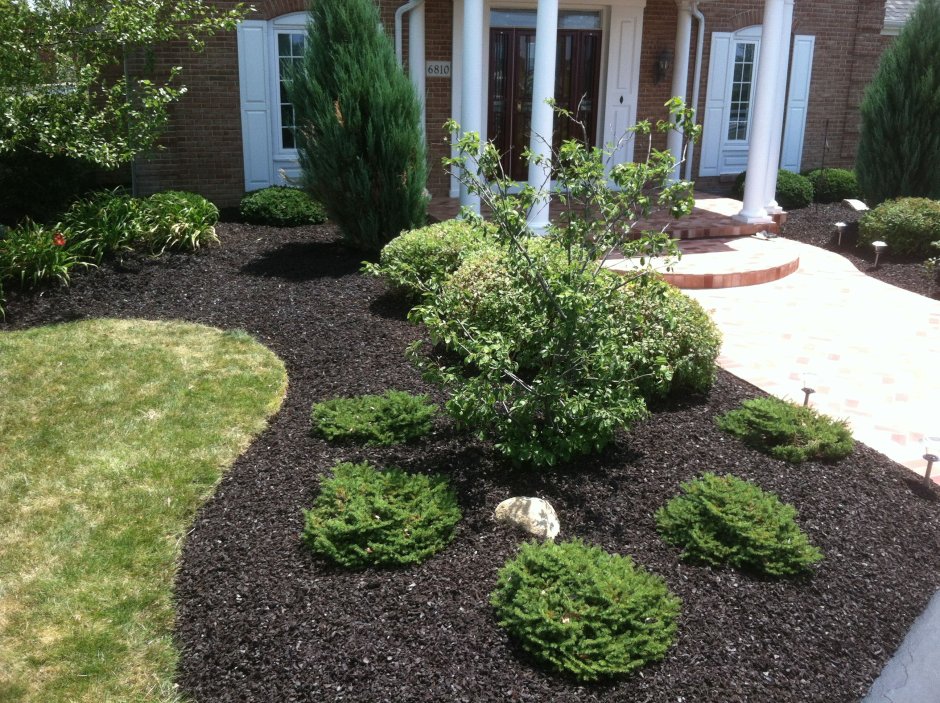 Burck Mulch