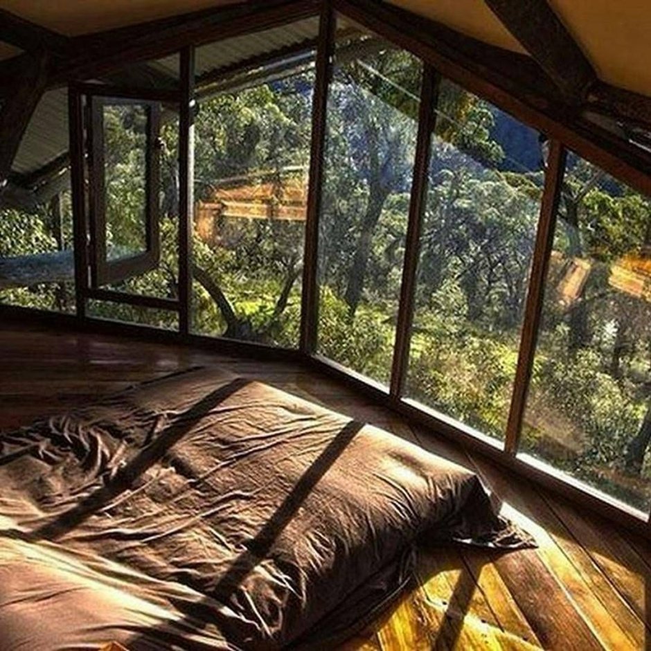 Дом в лесу с панорамными окнами