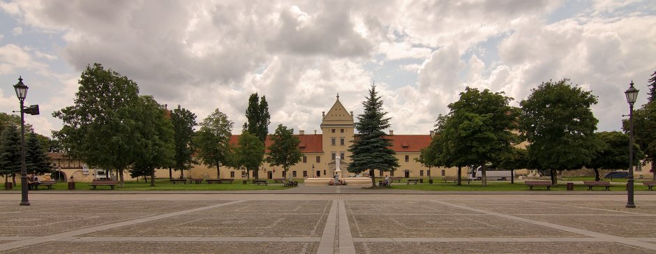 Жолква Львовская область замок